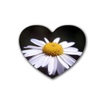 flower-i59e Heart Coaster (4 pack)