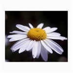 flower-i59e Glasses Cloth (Small, Two Sides)