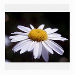 flower-i59e Glasses Cloth (Medium, Two Sides)