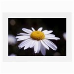 flower-i59e Glasses Cloth (Large, Two Sides)