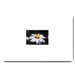 flower-i59e Large Doormat