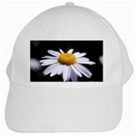 flower-i59e White Cap