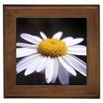 flower-i59e Framed Tile
