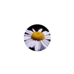 flower-i59e 1  Mini Button