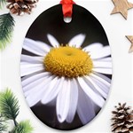 flower-i59e Ornament (Oval)