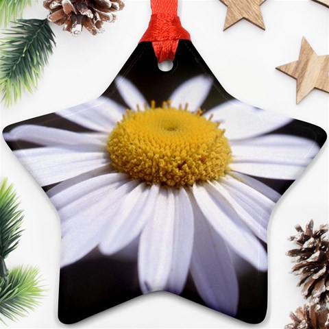 flower Front