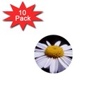 flower-i59e 1  Mini Button (10 pack) 