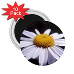 flower-i59e 2.25  Magnet (10 pack)