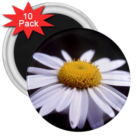 flower Front