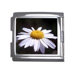 flower-i59e Mega Link Italian Charm (18mm)