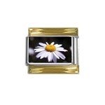 flower-i59e Gold Trim Italian Charm (9mm)