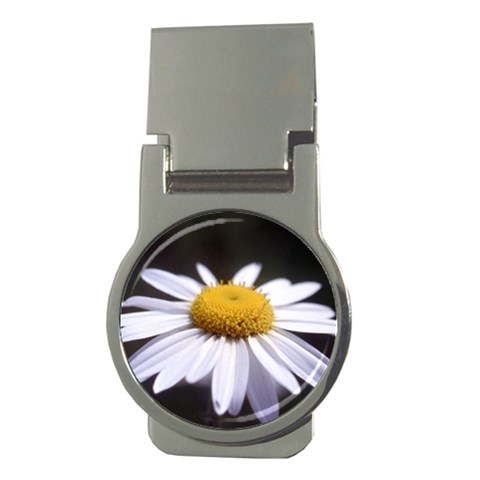 flower Front