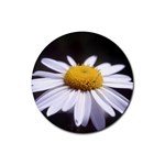 flower-i59e Rubber Coaster (Round)