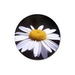 flower-i59e Magnet 3  (Round)