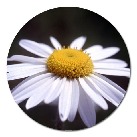 flower Front