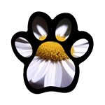 flower-i59e Magnet (Paw Print)