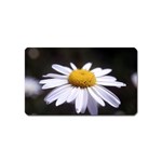 flower-i59e Magnet (Name Card)