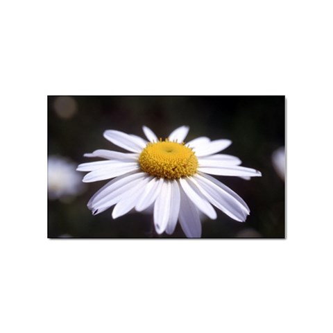 flower Front
