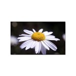 flower-i59e Sticker Rectangular (10 pack)