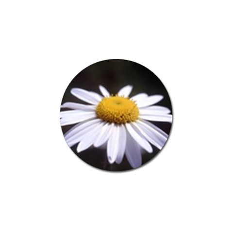 flower Front