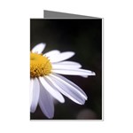 flower-i59e Mini Greeting Cards (Pkg of 8)