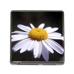 flower-i59e Memory Card Reader (Square)