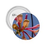 texture-4rs0 2.25  Button