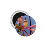 texture-4rs0 1.75  Magnet