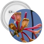 texture-4rs0 3  Button