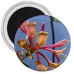 texture-4rs0 3  Magnet