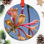 texture-4rs0 Ornament (Round)