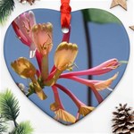 texture-4rs0 Ornament (Heart)