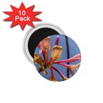 texture-4rs0 1.75  Magnet (10 pack) 