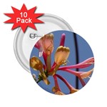 texture-4rs0 2.25  Button (10 pack)