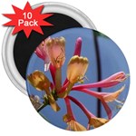texture-4rs0 3  Magnet (10 pack)