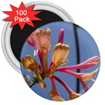 texture-4rs0 3  Magnet (100 pack)