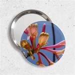 texture-4rs0 2.25  Handbag Mirror