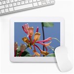 texture-4rs0 Large Mousepad