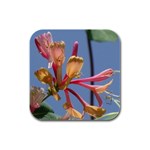 texture-4rs0 Rubber Square Coaster (4 pack)