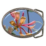 texture-4rs0 Belt Buckle