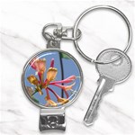 texture-4rs0 Nail Clippers Key Chain