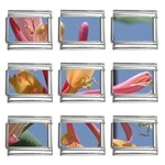 texture-4rs0 9mm Italian Charm (9 pack)