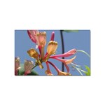 texture-4rs0 Sticker (Rectangular)