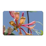 texture-4rs0 Magnet (Rectangular)
