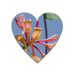 texture-4rs0 Magnet (Heart)
