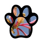 texture-4rs0 Magnet (Paw Print)