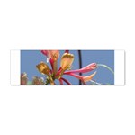 texture-4rs0 Sticker Bumper (10 pack)