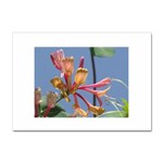 texture-4rs0 Sticker A4 (100 pack)