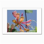 texture-4rs0 Postcards 5  x 7  (Pkg of 10)