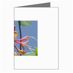 texture-4rs0 Greeting Cards (Pkg of 8)